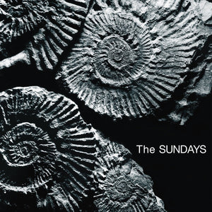 Sundays - Reading, Writing & Arithmetic Vinyl LP_GOOD TASTE Records