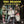 The Shaggs - Philosophy of the World (Yellow Smoke Color) Vinyl LP_GOOD TASTE Records