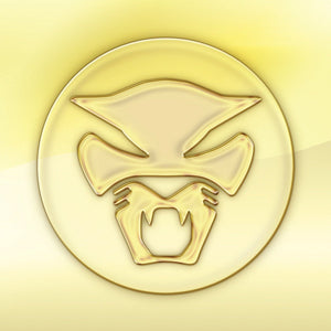 Thundercat - The Golden Age of Apocalypse (RSD 2021 Clear Color) Vinyl LP_GOOD TASTE Records