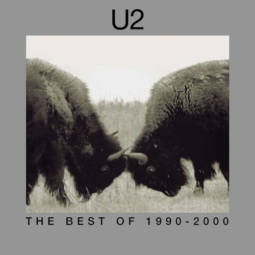 U2 - Best of 1990-2000 Vinyl LP_602557970999_GOOD TASTE Records