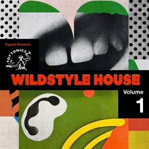 Various - Kapote Presents Wildstyle House Vol. 1 Vinyl LP_GOOD TASTE Records