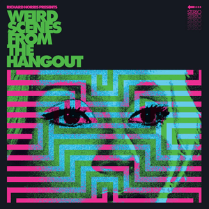 Various - Weird Scenes from The Hangout (Psychedelic & Freakbeat Dancefloor Anthems 1967 - 1982 Vinyl LP_5053760121046_GOOD TASTE Records