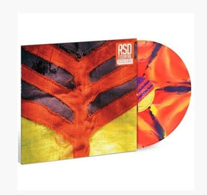 Yeah Yeah Yeahs - Show Your Bones (RSD Essential) (Orange, Yellow & Purple Marble Color) Vinyl LP_GOOD TASTE Records