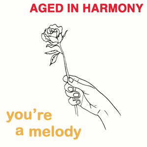Aged In Harmony - You're a Melody 7" Vinyl Set_5053760025047_GOOD TASTE Records
