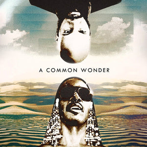 Amerigo Gazaway - Common vs Stevie Wonder: Common Wonder Vinyl LP_COMMONWONDER1_GOOD TASTE Records