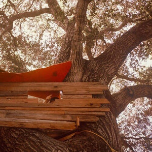 Backseat Lovers - Waiting To Spill Vinyl LP_GOOD TASTE Records