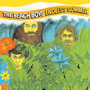 Beach Boys - Endless Summer (Limited Edition) Vinyl LP_5099924279413_GOOD TASTE Records