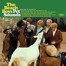 Beach Boys - Pet Sounds (Stereo)(180g) Vinyl LP_602547822291_GOOD TASTE Records