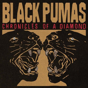 Black Pumas - Chronicles of a Diamond (Clear Color) Vinyl LP_880882584610_GOOD TASTE Records