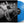 Bleachers - Bleachers (self-titled)(Indie Exclusive Blue Color) Vinyl LP_5060257963959_GOOD TASTE Records