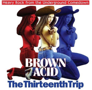 Brown Acid - The Thirteenth Trip Vinyl LP_603111748412_GOOD TASTE Records