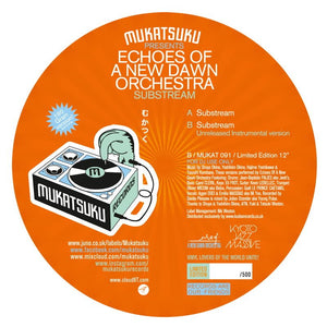 Echoes of a New Dawn Orchestra - Substream Vinyl 12"_GOOD TASTE Records