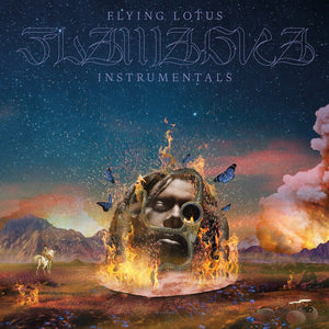 Flying Lotus - Flamagra Instrumentals Vinyl LP_0801061106515_GOOD TASTE Records