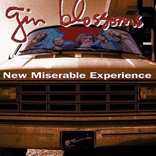 Gin Blossoms - New Miserable Experience Vinyl LP_602557293593_GOOD TASTE Records
