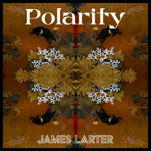 James Larter - Polarity Vinyl LP_5050580775602_GOOD TASTE Records