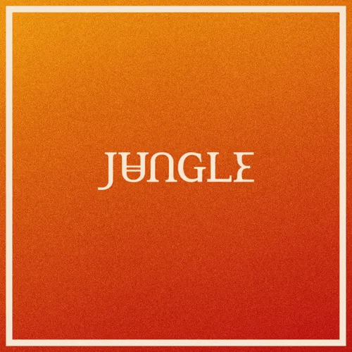 Jungle - Volcano Vinyl LP_5056167177302_GOOD TASTE Records