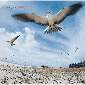 Masayoshi Takanaka - Seychelles (Clear Sky Blue Color) Vinyl LP_4988031637425_GOOD TASTE Records