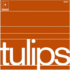 Maston - Tulips Vinyl LP_4251648417910_GOOD TASTE Records
