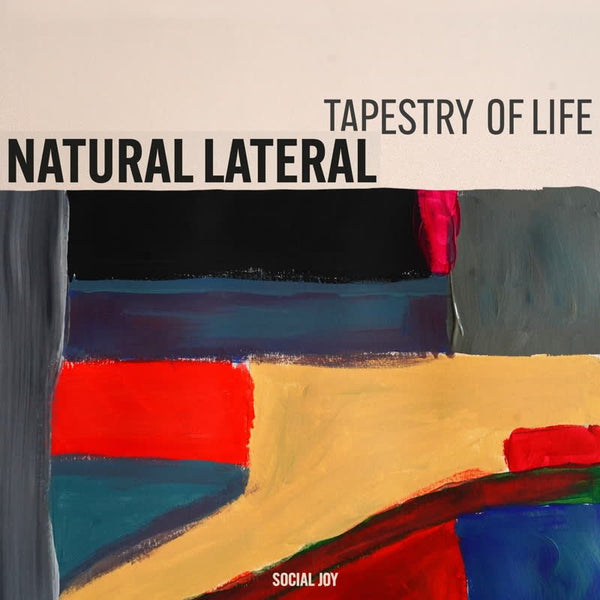 Natural Lateral - Tapestry of Life Vinyl LP_5050580790230_GOOD TASTE Records