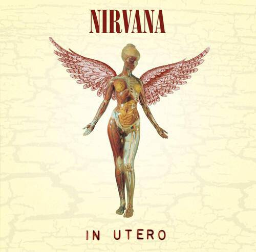 Nirvana - In Utero Vinyl LP_720642453612_GOOD TASTE Records