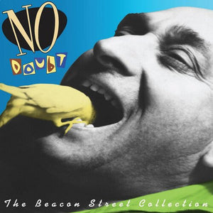 No Doubt - Beacon Street Collection Vinyl LP_602458265132_GOOD TASTE Records