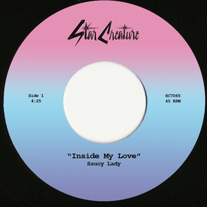 Saucy Lady & Monolog - Hey Mr. DJ b/w Inside My Love Vinyl 7"_SC7065 7_GOOD TASTE Records