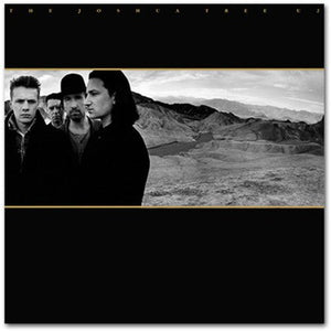 U2 - The Joshua Tree (30th Anniversary) Vinyl LP_602557498448_GOOD TASTE Records