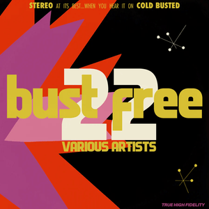 Various - Bust Free 22 (White & Pink Marble Color) Vinyl LP_636339648851_GOOD TASTE Records